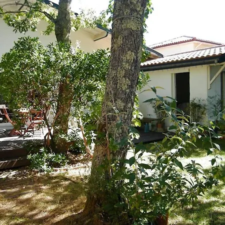 Bassin D'arcachon Maison Quartier Calme, Verdoyant Casa vacanze *